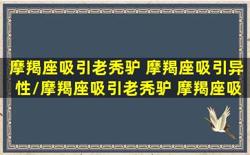 摩羯座吸引老秃驴 摩羯座吸引异性/摩羯座吸引老秃驴 摩羯座吸引异性-我的网站